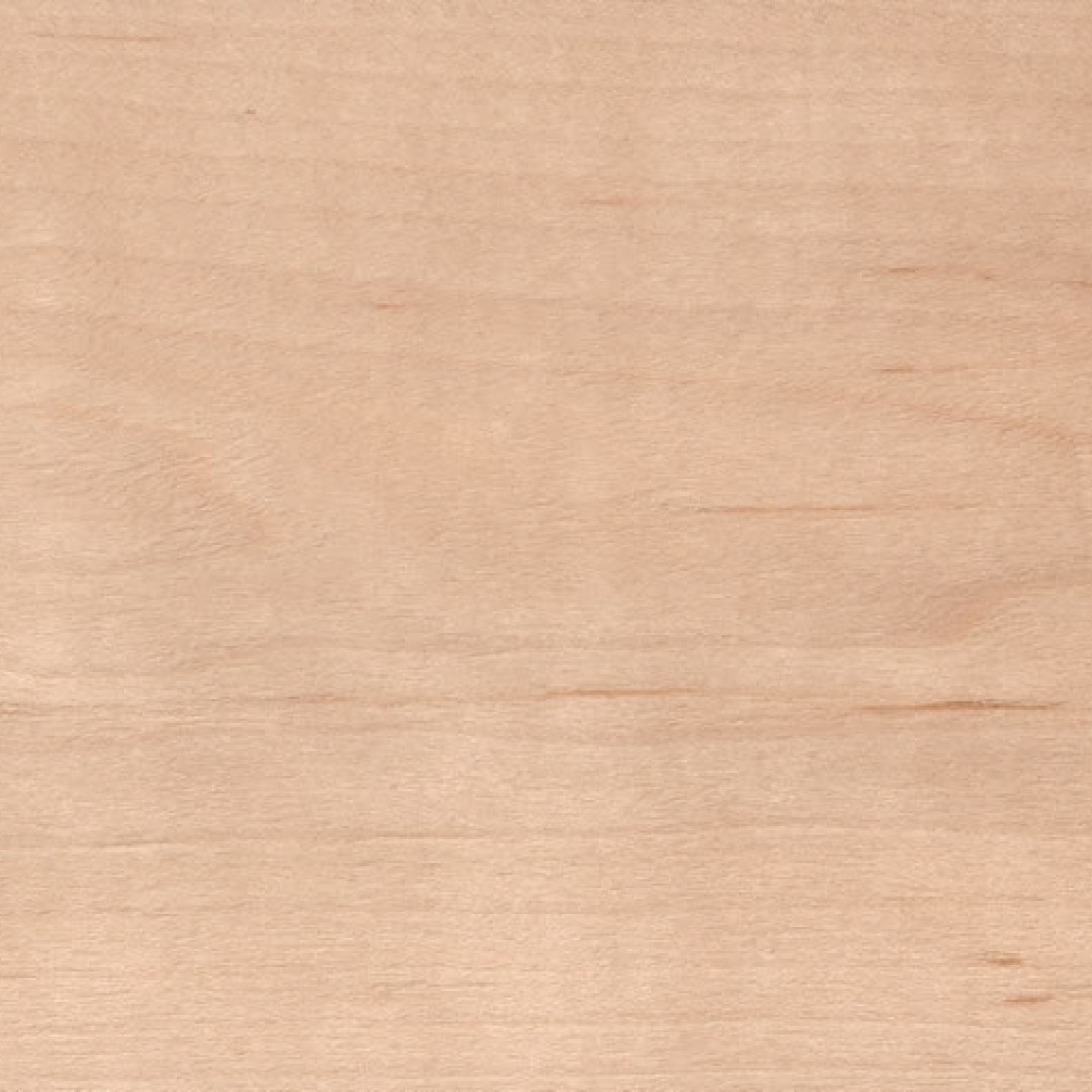 maple