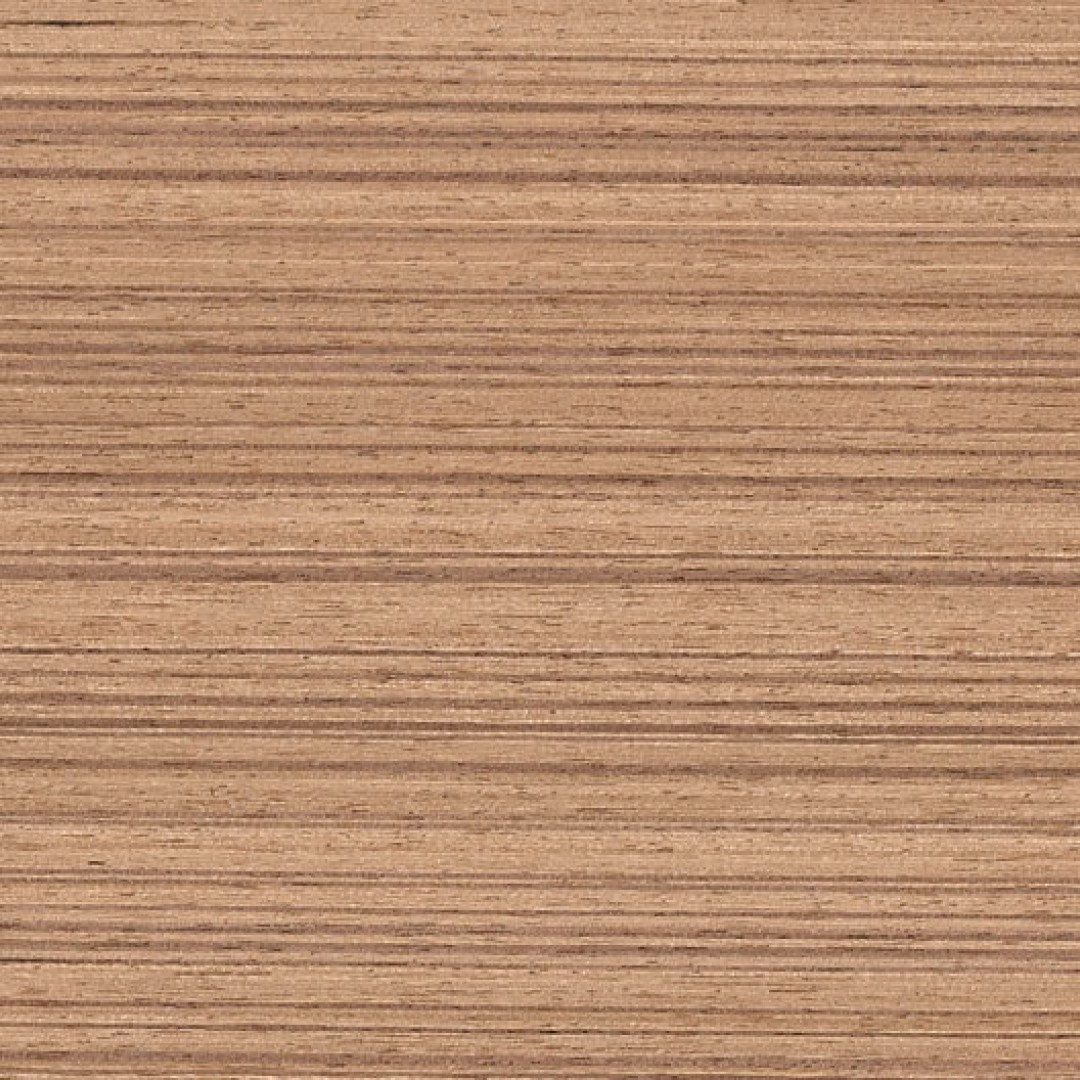 teca-18